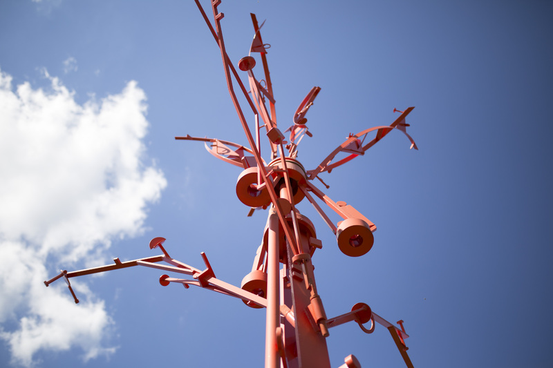 Photograph of The Wishing Tree - AO-00016-013.jpg
