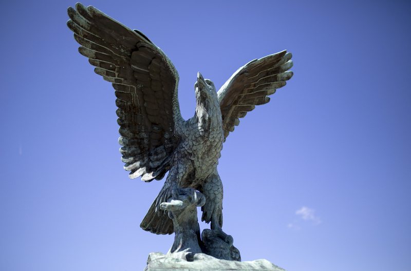 Photograph of The Eagle - AO-00095-017.jpg