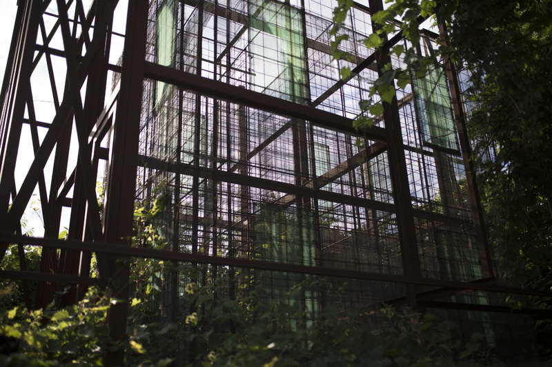 Photograph of Translucent Home - AO-00098-005.jpg