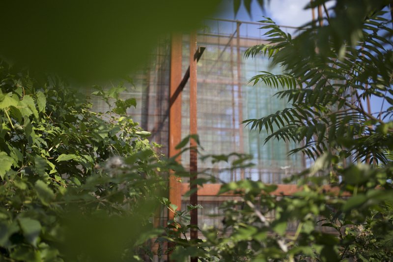 Photograph of Translucent Home - AO-00098-008.jpg