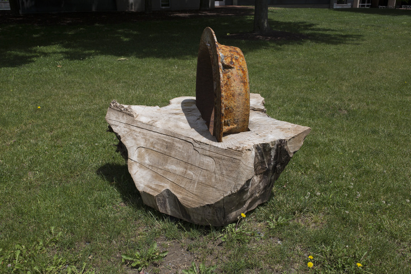 Photograph of Growth - AO-00118-002.jpg
