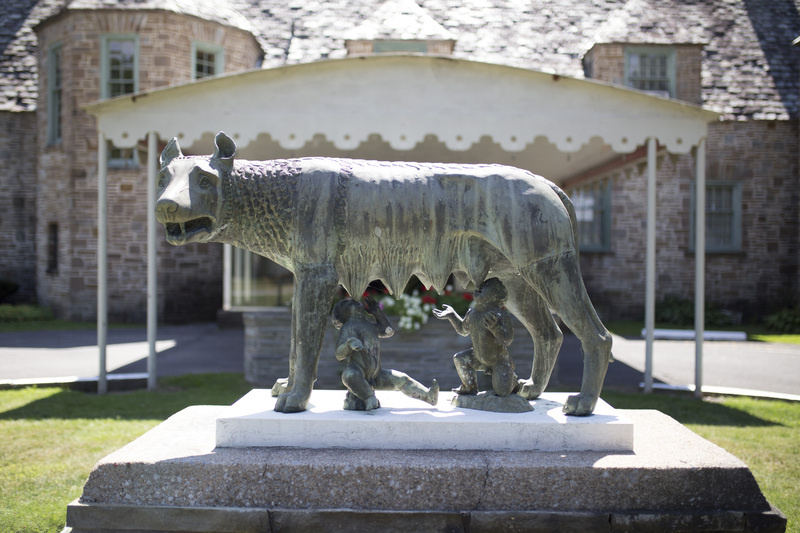 Photograph of Roman Wolf - AO-00146-004.jpg