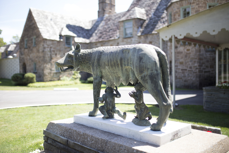 Photograph of Roman Wolf - AO-00146-007.jpg