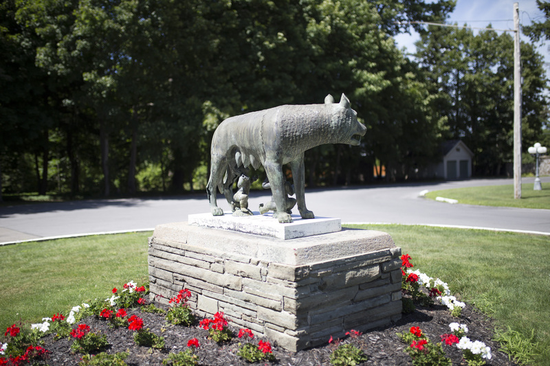 Photograph of Roman Wolf - AO-00146-011.jpg