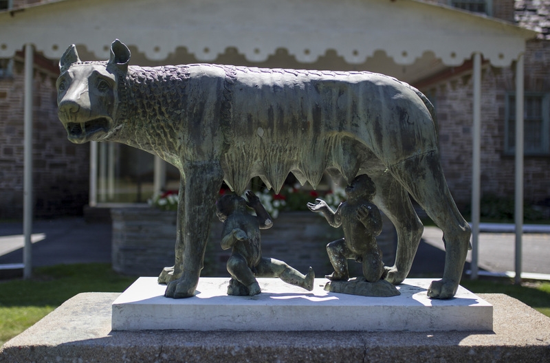 Photograph of Roman Wolf - AO-00146-016.jpg