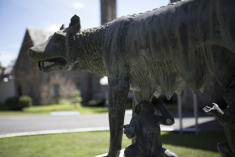 Photograph of Roman Wolf - AO-00146-018.jpg