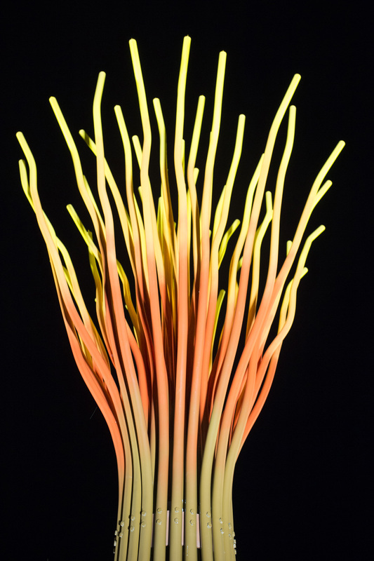 Photograph of Persephone - AO-00157-032.jpg