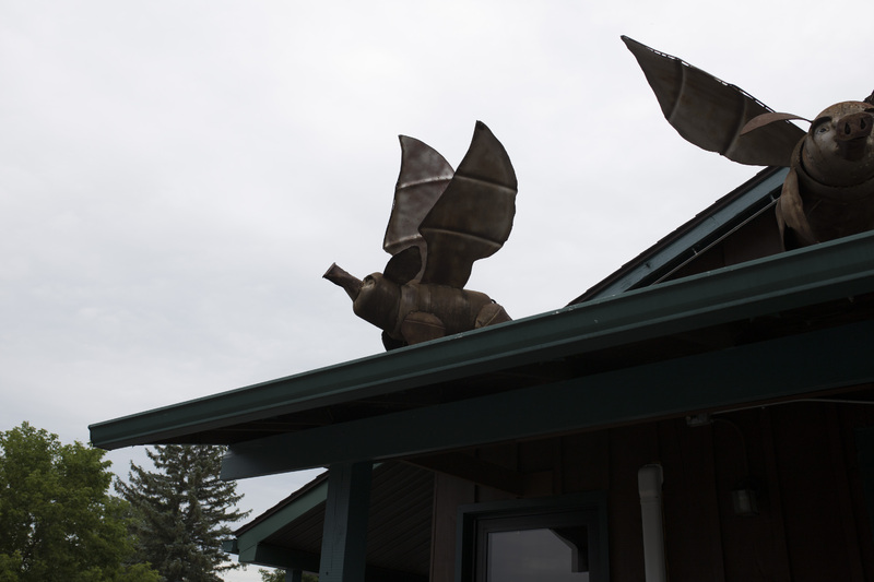 Photograph of Flying Pigs - AO-00158-011.jpg
