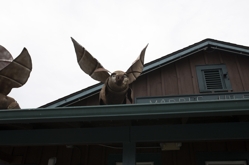 Photograph of Flying Pigs - AO-00158-012.jpg