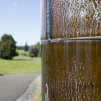Photograph of Amber Light Column - AO-00009-007.jpg