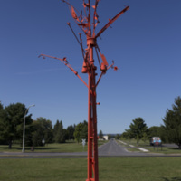 Photograph of The Wishing Tree - AO-00016-010.jpg