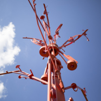 Photograph of The Wishing Tree - AO-00016-013.jpg