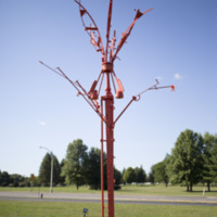 Photograph of The Wishing Tree - AO-00016-015.jpg