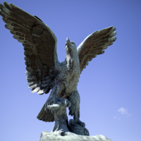 Photograph of The Eagle - AO-00095-017.jpg