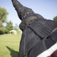 Photograph of Top - AO-00099-012.jpg