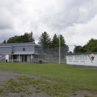 Photograph of Day Of Action 09 - AO-00115-001.jpg