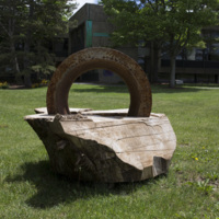Photograph of Growth - AO-00118-001.jpg