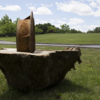 Photograph of Growth - AO-00118-004.jpg