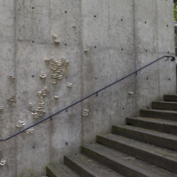 Photograph of Stairway to Enlightenment - AO-00123-001.jpg