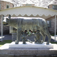 Photograph of Roman Wolf - AO-00146-004.jpg