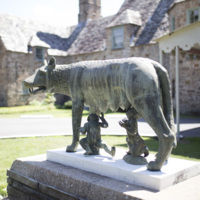 Photograph of Roman Wolf - AO-00146-007.jpg