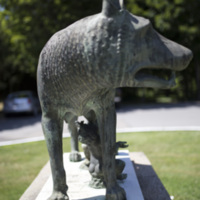 Photograph of Roman Wolf - AO-00146-013.jpg