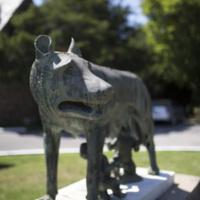 Photograph of Roman Wolf - AO-00146-014.jpg