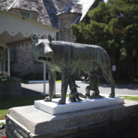 Photograph of Roman Wolf - AO-00146-015.jpg