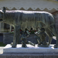 Photograph of Roman Wolf - AO-00146-016.jpg
