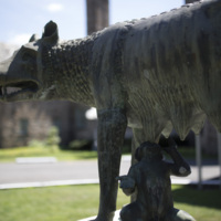 Photograph of Roman Wolf - AO-00146-018.jpg