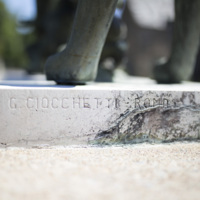 Photograph of Roman Wolf - AO-00146-019.jpg
