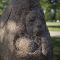 Photograph of Unfinished Tiger - AO-00149-005.jpg