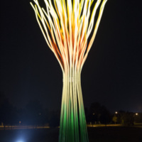 Photograph of Persephone - AO-00157-028.jpg