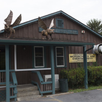 Photograph of Flying Pigs - AO-00158-004.jpg