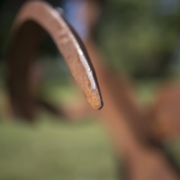Photograph of Fire Dance - AO-00160-009.jpg
