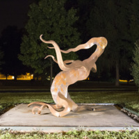 Photograph of Fire Dance - AO-00160-019.jpg