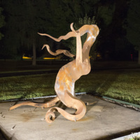 Photograph of Fire Dance - AO-00160-022.jpg