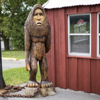 Photograph of Big Foot - AO-00161-006.jpg