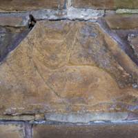 Photograph of Fox - AO-00165-006.jpg