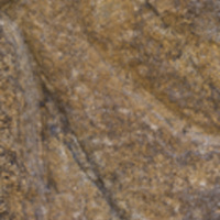 Photograph of Fox - AO-00165-009.jpg