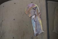Photograph of Iridescent - AO-00122-001.jpg