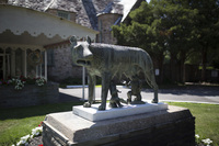 Photograph of Roman Wolf - AO-00146-015.jpg