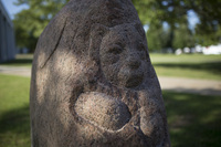 Photograph of Unfinished Tiger - AO-00149-005.jpg